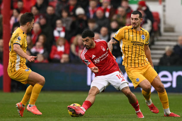 黑赢得了一 黑赢得了一